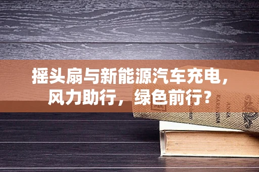 摇头扇与新能源汽车充电，风力助行，绿色前行？