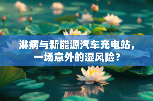 淋病与新能源汽车充电站，一场意外的湿风险？