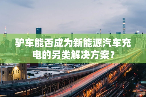 驴车能否成为新能源汽车充电的另类解决方案？