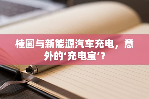 桂圆与新能源汽车充电，意外的‘充电宝’？