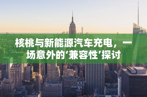 核桃与新能源汽车充电，一场意外的‘兼容性’探讨