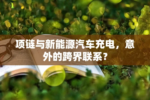 项链与新能源汽车充电，意外的跨界联系？