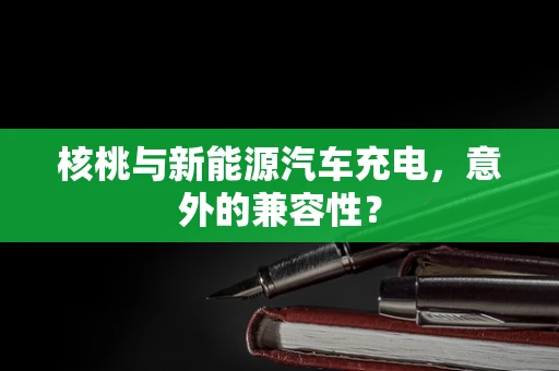 核桃与新能源汽车充电，意外的兼容性？