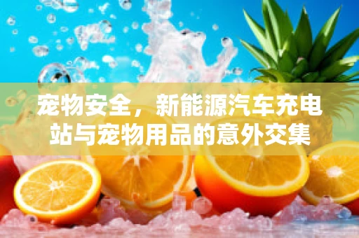 宠物安全，新能源汽车充电站与宠物用品的意外交集