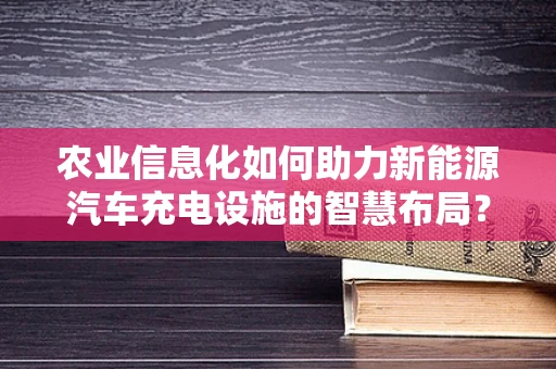 农业信息化如何助力新能源汽车充电设施的智慧布局？