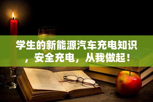 学生的新能源汽车充电知识，安全充电，从我做起！