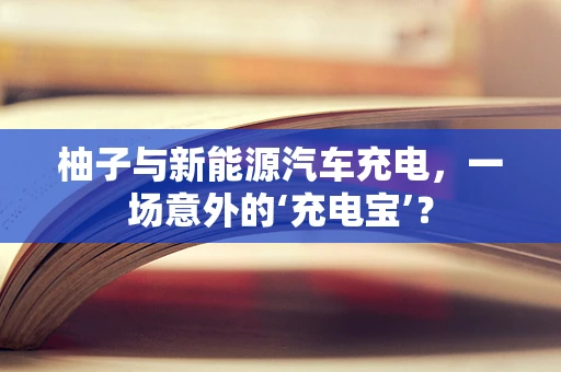 柚子与新能源汽车充电，一场意外的‘充电宝’？