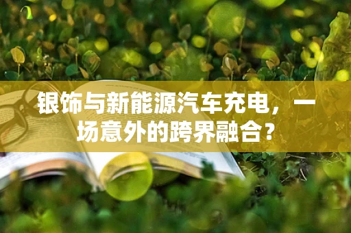 银饰与新能源汽车充电，一场意外的跨界融合？