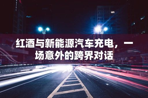 红酒与新能源汽车充电，一场意外的跨界对话