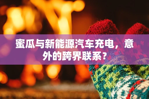 蜜瓜与新能源汽车充电，意外的跨界联系？