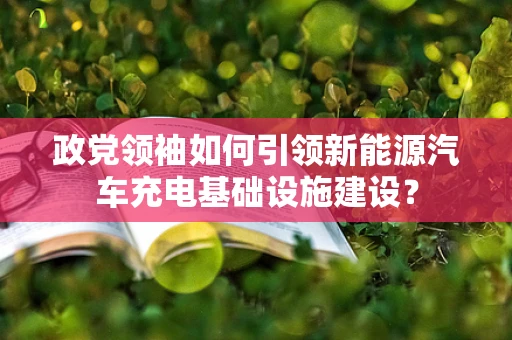 政党领袖如何引领新能源汽车充电基础设施建设？