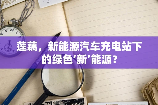 莲藕，新能源汽车充电站下的绿色‘新’能源？