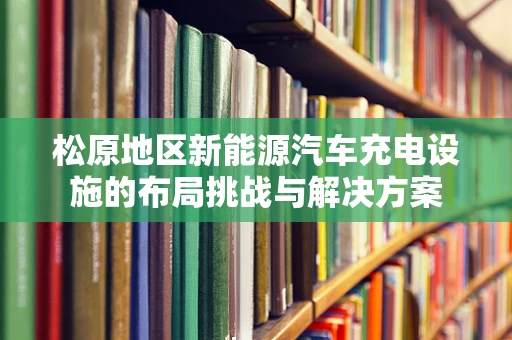 松原地区新能源汽车充电设施的布局挑战与解决方案