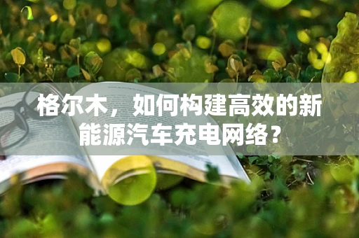 格尔木，如何构建高效的新能源汽车充电网络？