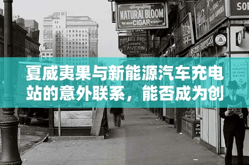 夏威夷果与新能源汽车充电站的意外联系，能否成为创新材料的选择？