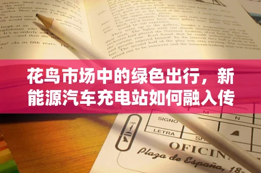 花鸟市场中的绿色出行，新能源汽车充电站如何融入传统市集？