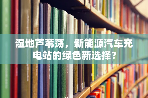 湿地芦苇荡，新能源汽车充电站的绿色新选择？