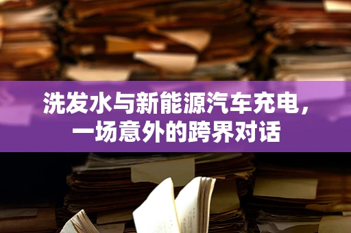 洗发水与新能源汽车充电，一场意外的跨界对话