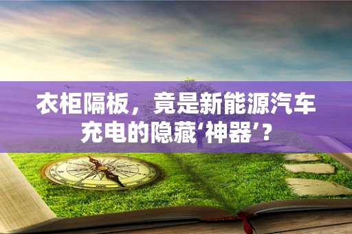 衣柜隔板，竟是新能源汽车充电的隐藏‘神器’？