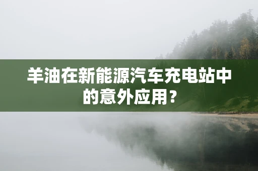 羊油在新能源汽车充电站中的意外应用？