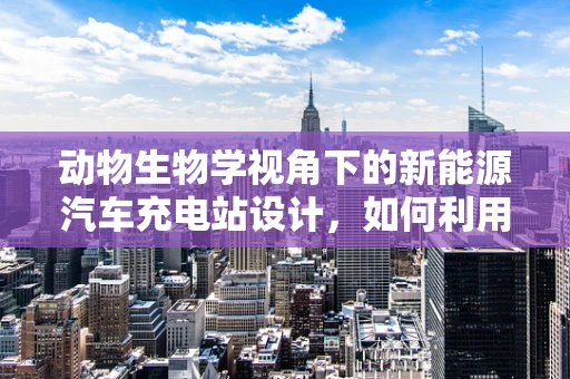 动物生物学视角下的新能源汽车充电站设计，如何利用生物特性提升用户体验？