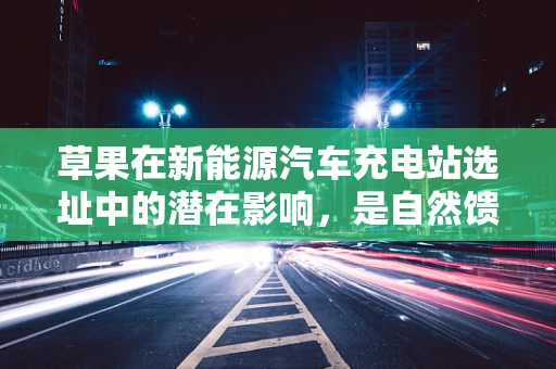 草果在新能源汽车充电站选址中的潜在影响，是自然馈赠还是隐忧？