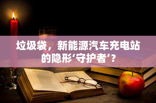 垃圾袋，新能源汽车充电站的隐形‘守护者’？