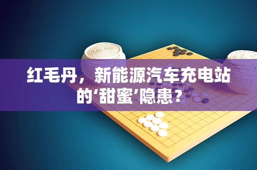 红毛丹，新能源汽车充电站的‘甜蜜’隐患？