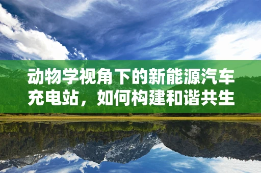 动物学视角下的新能源汽车充电站，如何构建和谐共生的充电生态？