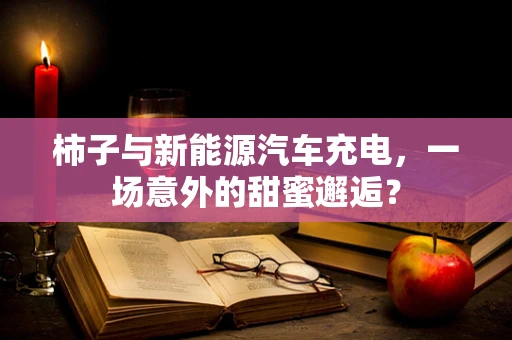 柿子与新能源汽车充电，一场意外的甜蜜邂逅？