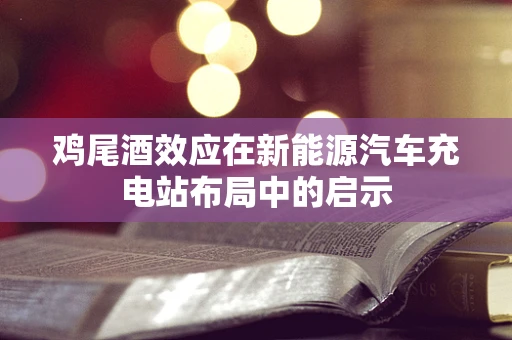 鸡尾酒效应在新能源汽车充电站布局中的启示