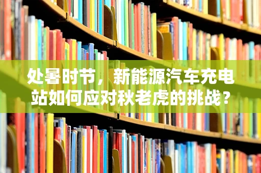 处暑时节，新能源汽车充电站如何应对秋老虎的挑战？