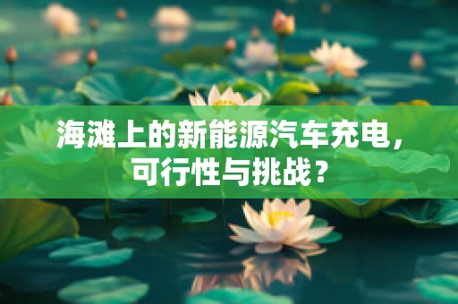 海滩上的新能源汽车充电，可行性与挑战？