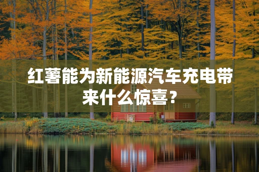 红薯能为新能源汽车充电带来什么惊喜？