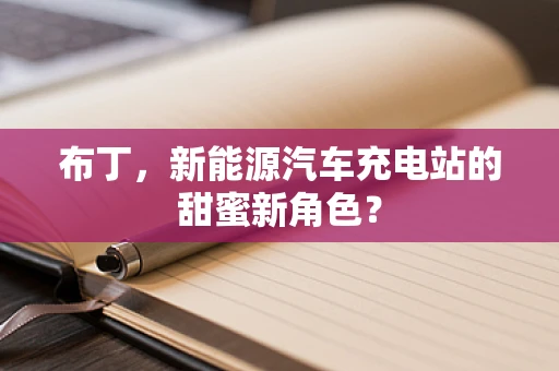 布丁，新能源汽车充电站的甜蜜新角色？