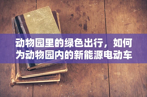 动物园里的绿色出行，如何为动物园内的新能源电动车提供高效充电解决方案？