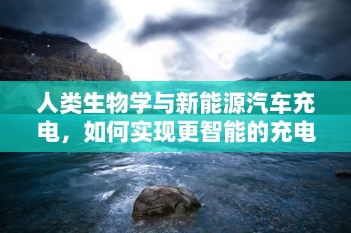 人类生物学与新能源汽车充电，如何实现更智能的充电体验？