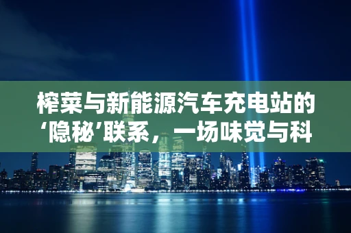 榨菜与新能源汽车充电站的‘隐秘’联系，一场味觉与科技的跨界对话