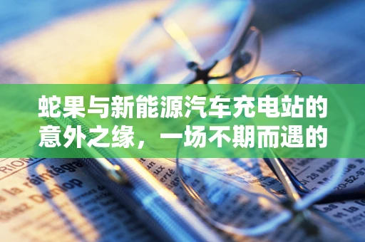 蛇果与新能源汽车充电站的意外之缘，一场不期而遇的甜蜜挑战？