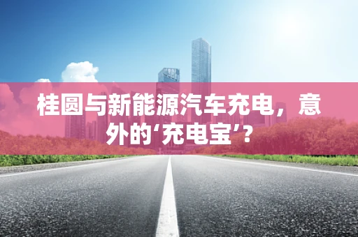 桂圆与新能源汽车充电，意外的‘充电宝’？