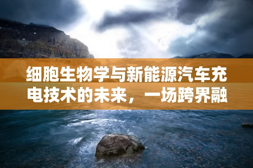 细胞生物学与新能源汽车充电技术的未来，一场跨界融合的探索