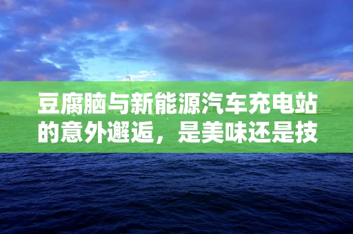 豆腐脑与新能源汽车充电站的意外邂逅，是美味还是技术挑战？