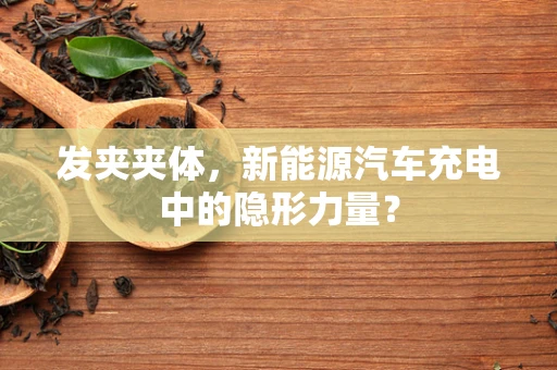 发夹夹体，新能源汽车充电中的隐形力量？