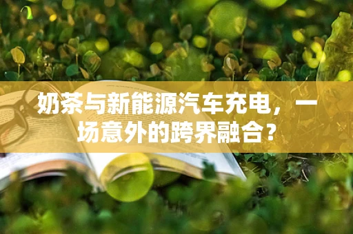 奶茶与新能源汽车充电，一场意外的跨界融合？