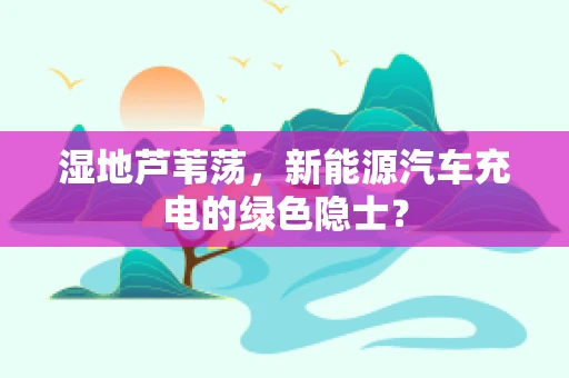 湿地芦苇荡，新能源汽车充电的绿色隐士？