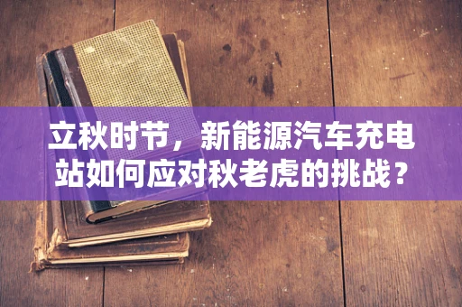 立秋时节，新能源汽车充电站如何应对秋老虎的挑战？