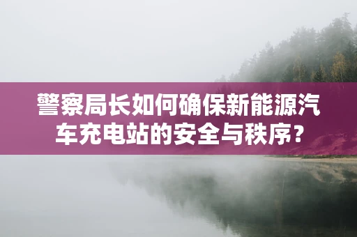 警察局长如何确保新能源汽车充电站的安全与秩序？